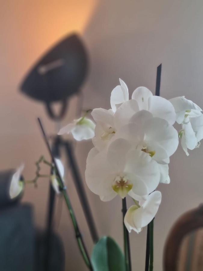 Wellness Ferienhaus Mechernich Eksteriør billede